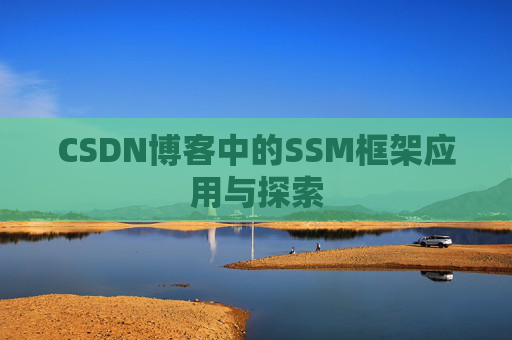 CSDN博客中的SSM框架应用与探索